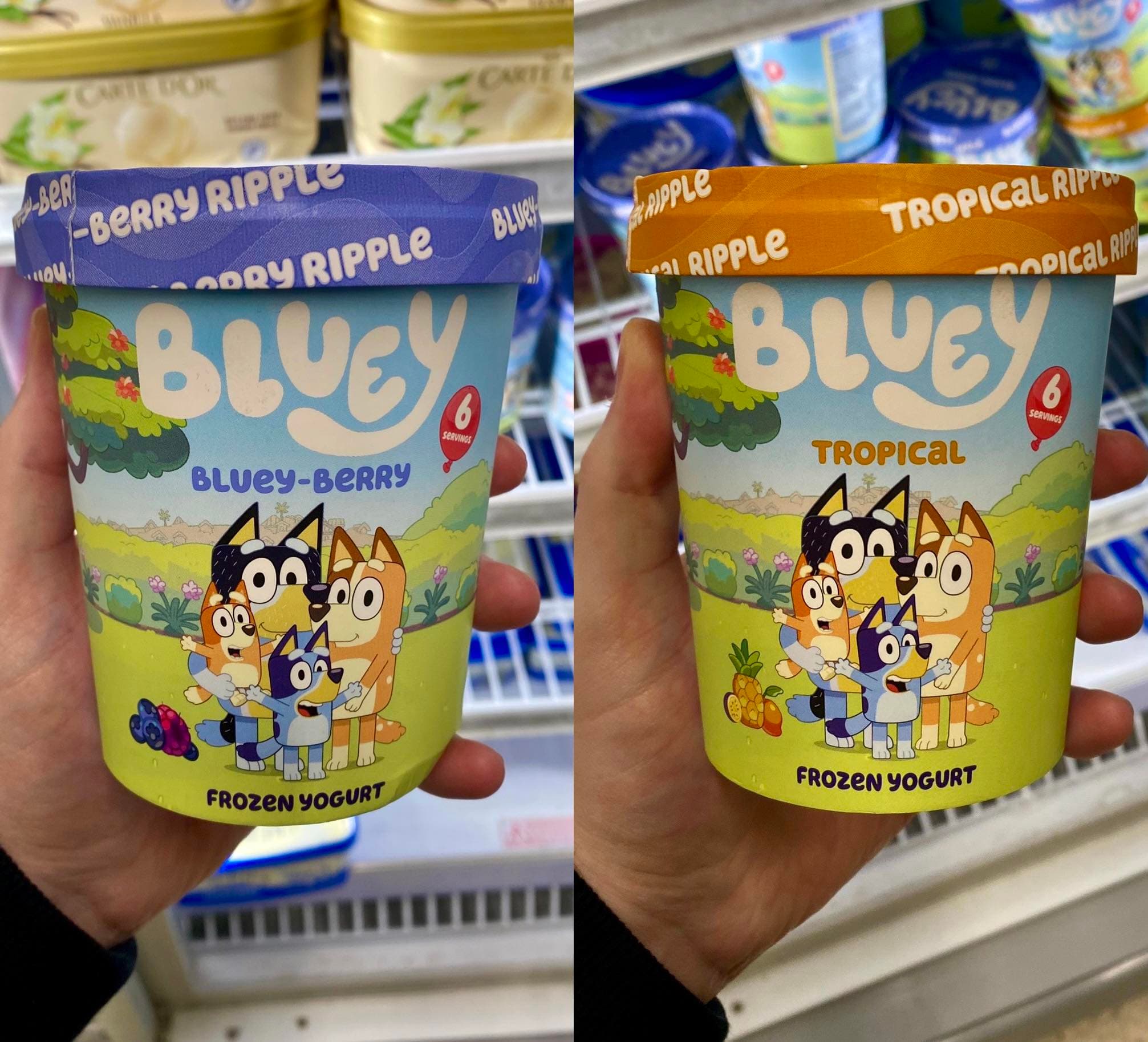 Bluey Frozen Yoghurts
